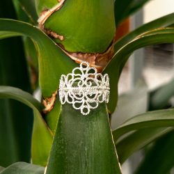 Fede sarda Scomposta 1